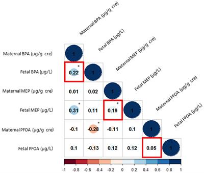 The associations between maternal and fetal exposure to endocrine-disrupting chemicals and asymmetric fetal growth restriction: a prospective cohort study